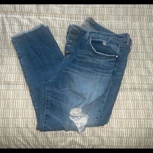 Torrid Jeans